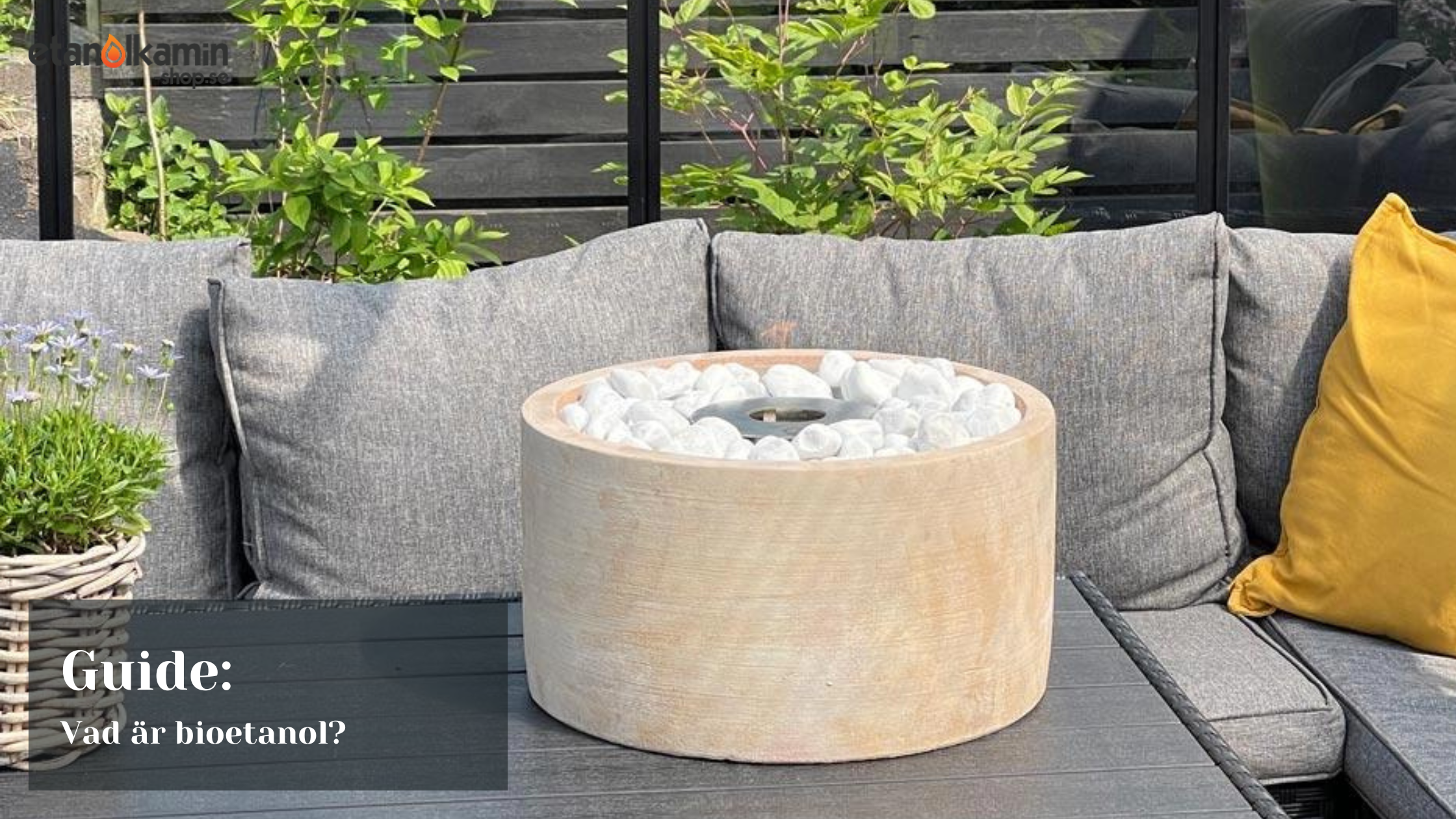 guide vad är bioetanol