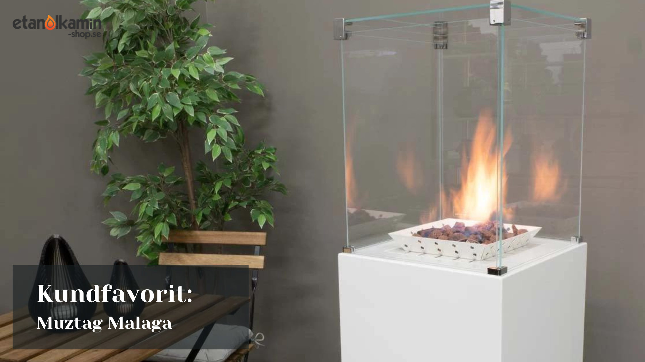 kundfavorit muztag malaga
