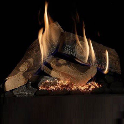 Global Truflame brannare