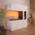 Schiller Pocket Opti-myst kamin - Vit
