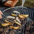 TRIPLE Grillgaller 45