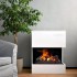 Kamin på vatteånga och LED ljus
