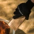 Solo Stove Värmetåliga Handskar i svart