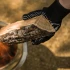 Solo Stove Värmetåliga Handskar i svart