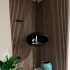 Cocoon Aeris i svart